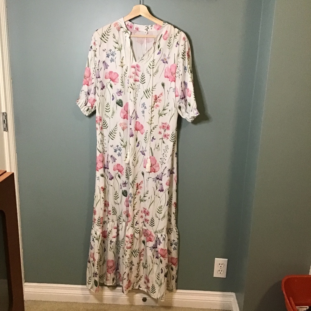 Sheer dress or coverup